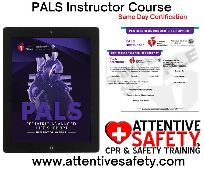 PALS Instructor Course