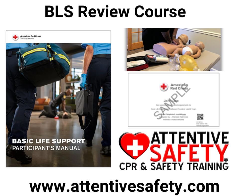 BLS Review Course