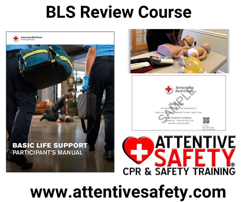 BLS Review Course