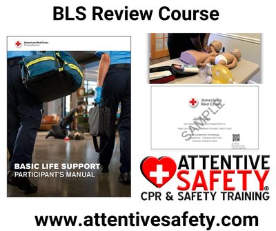 BLS Review Course BLS Review Course
