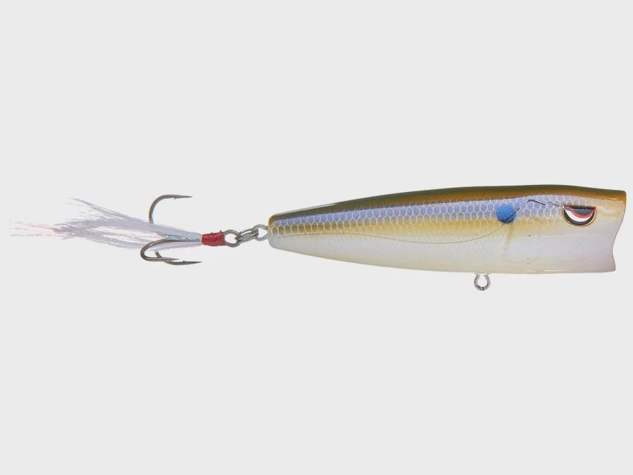 E Pop 80, Colour: Natural Herring