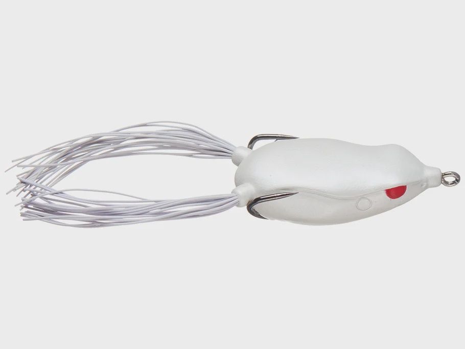 Bronzeye Frog Jr, Colour: Albino