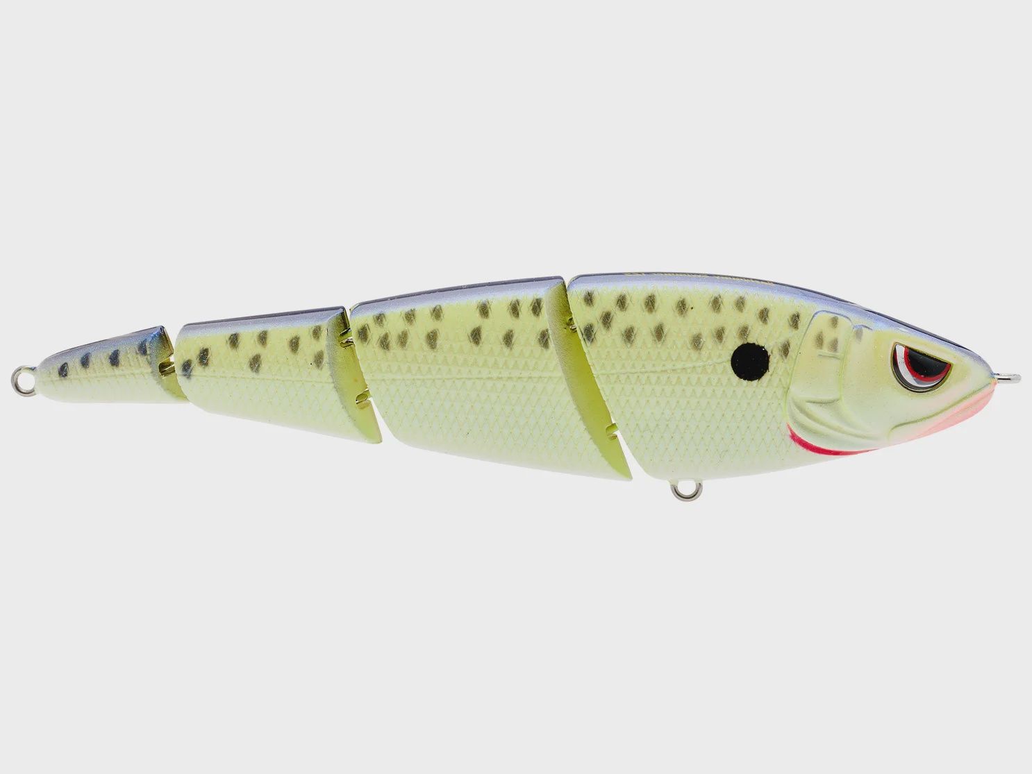 Sashimmy Swimmer, Colour: Cell Mate, Size: 125