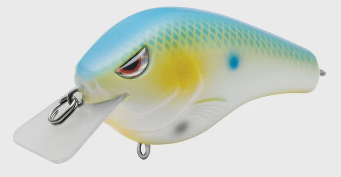 Fat Pappa, Colour: Mellow Yellow, Size: 55SB