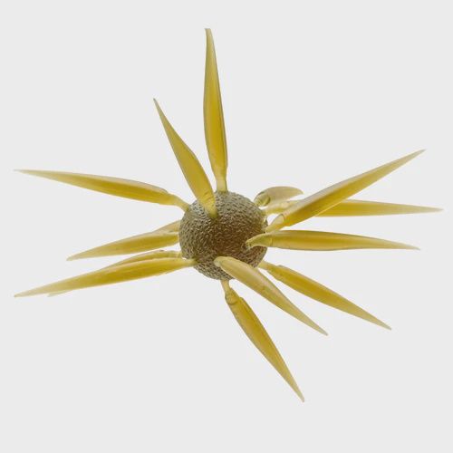 Coike Fish L, Colour: Watermelon #101