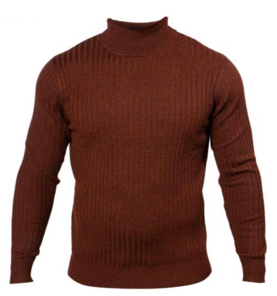 	SOLID PINSTRIPE TURTLE NECK , Color: BROWN, Size: M