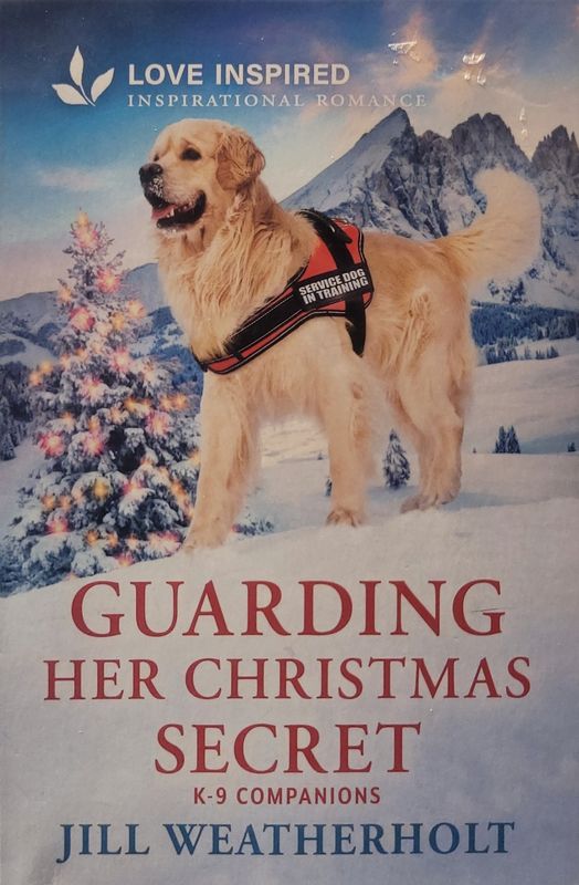 GUARDING HER CHRISTMAS SECRETS