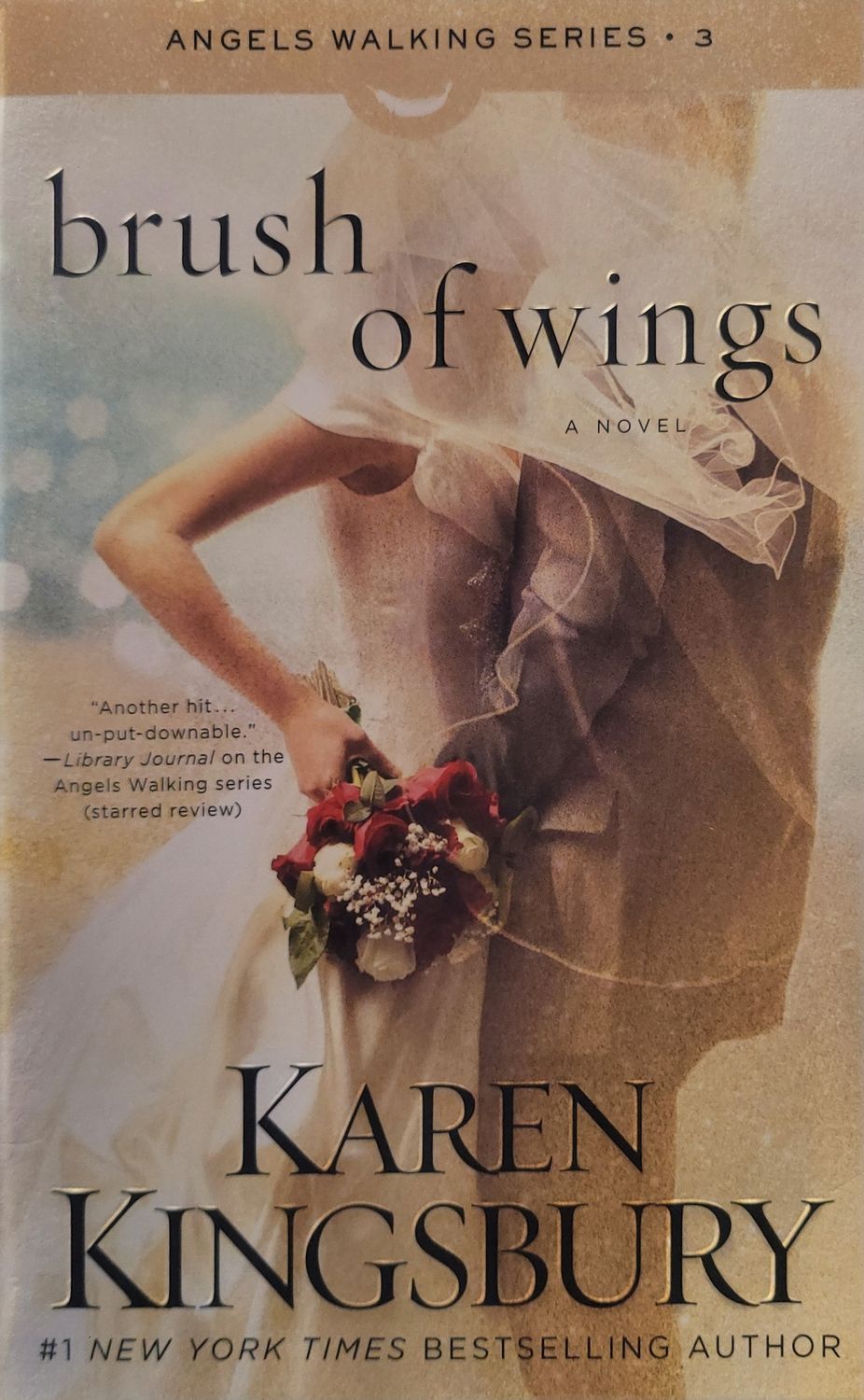 BRUSH OF WINGS- ANGELS WALKING #3