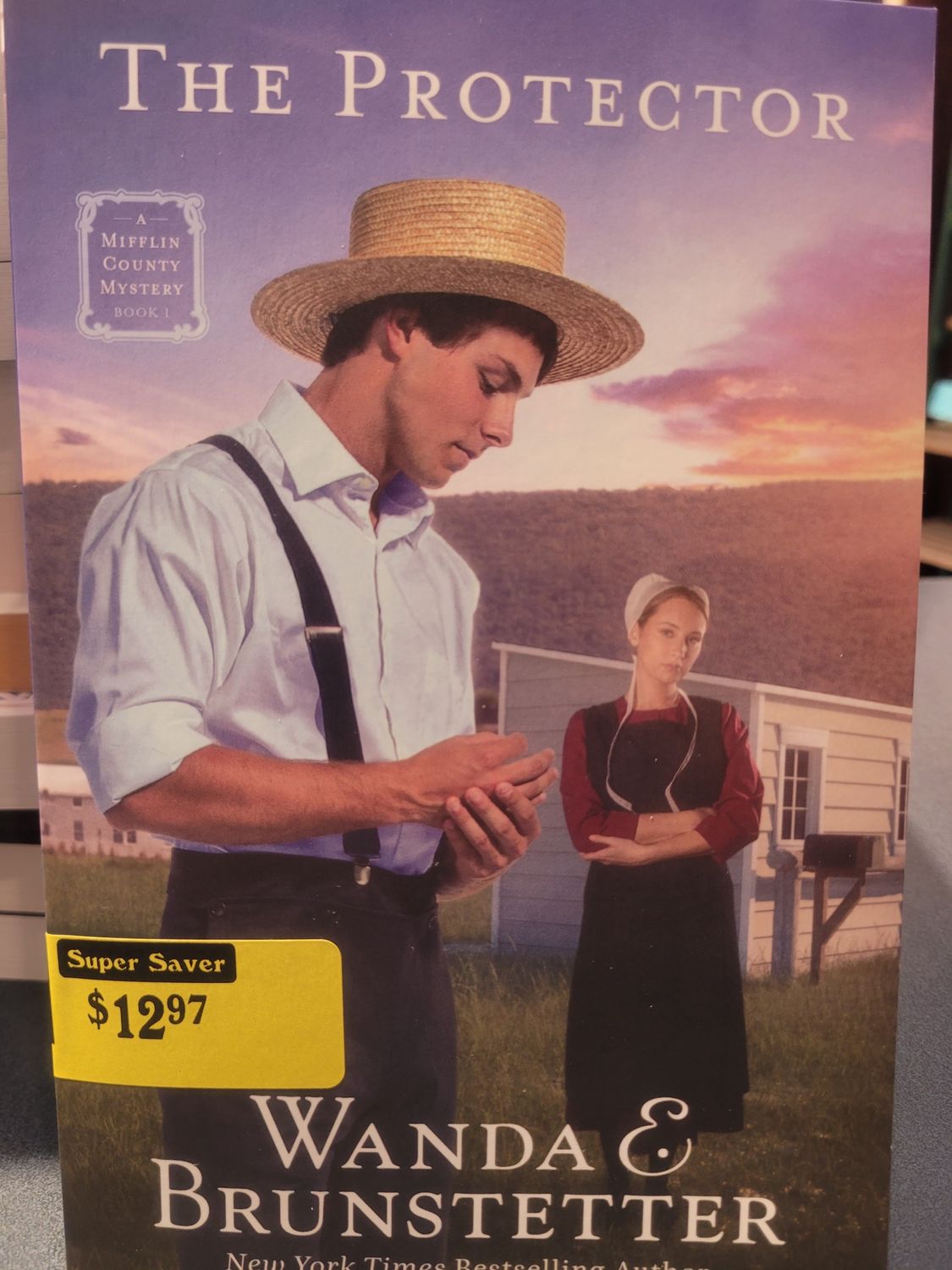 PROTECTOR: A MIFFLIN COUNTY MYSTERY - BOOK 1 VOLUME 1