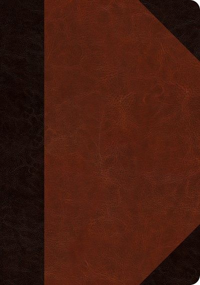 B-ESV- JOURNALING  INTERLEAVED