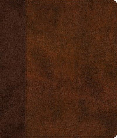 B-ESV- JOURNALING BIBLE- BROWN/TAN TIMELESS