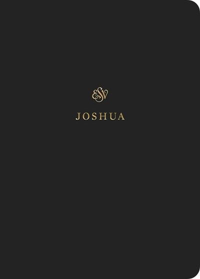 B-ESV- SCRIPTURE JOURNAL: JOSHUA