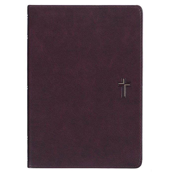 B-NLT- EVERYDAY DEVOTIONAL BIBLE FOR MEN- WALNUT