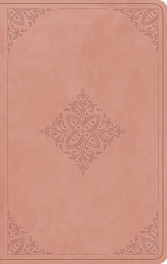 B-ESV- LARGE PRINT VALUE THINLINE BIBLE- BLUSH ROSE