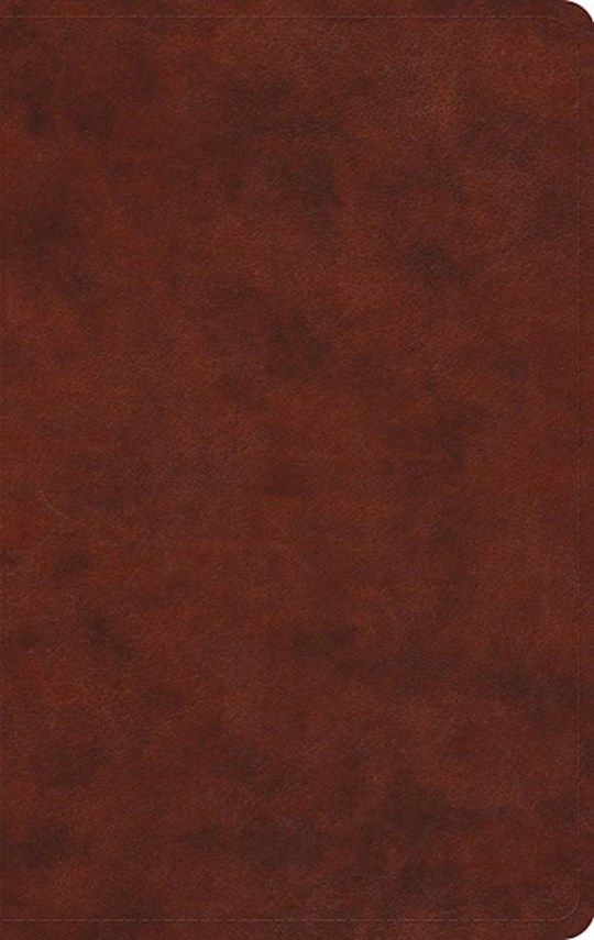 B-ESV- LARGE PRINT VALUE THINLINE BIBLE- CHESTNUT
