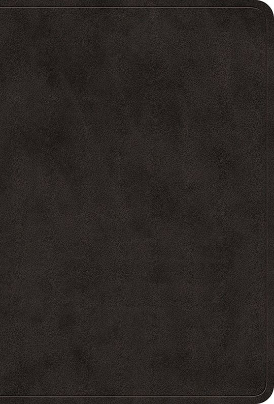 B-ESV- VALUE LARGE PRINT COMPACT BIBLE- BLACK