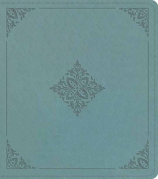 B-ESV- JOURNALING STUDY BIBLE- PARIS SKY