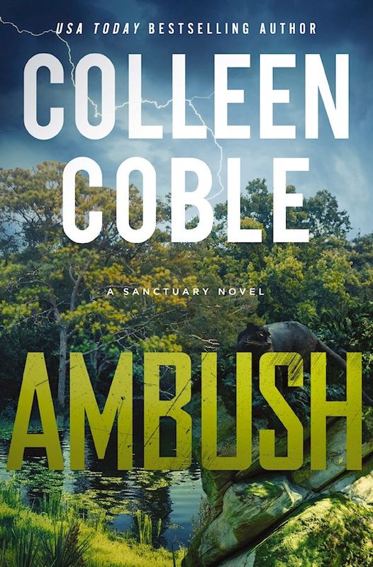 FS- AMBUSH- SANCTUARY SERIES, BOOK 1