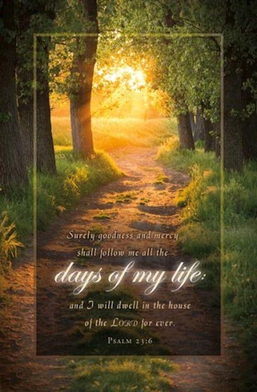 BULLETIN- 100/PK- SURELY GOODNESS &amp; MERCY- PSALM 23:6, KJV
