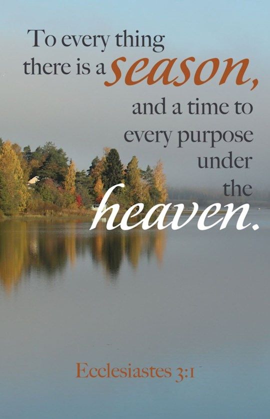BULLETIN- 100/PACK- TO EVERYTHING THERE IS A SEASON- ECCLESIASTES 3:1, KJV
