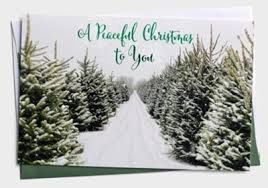 BOXED CARDS- PEACEFUL CHRISTMAS- KJV