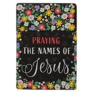 PRAYING THE NAMES OF JESUS- SCRIPTURE CARDS