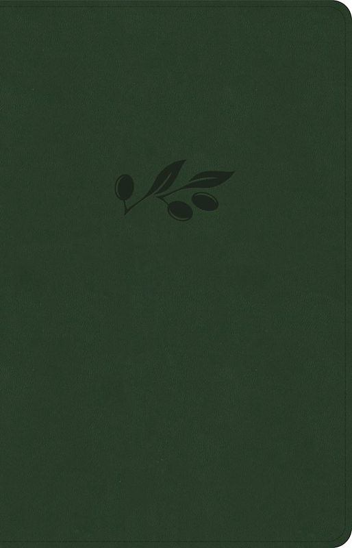 B-NASB LARGE PRINT THINLINE BIBLE, OLIVE LEATHERTOUCH