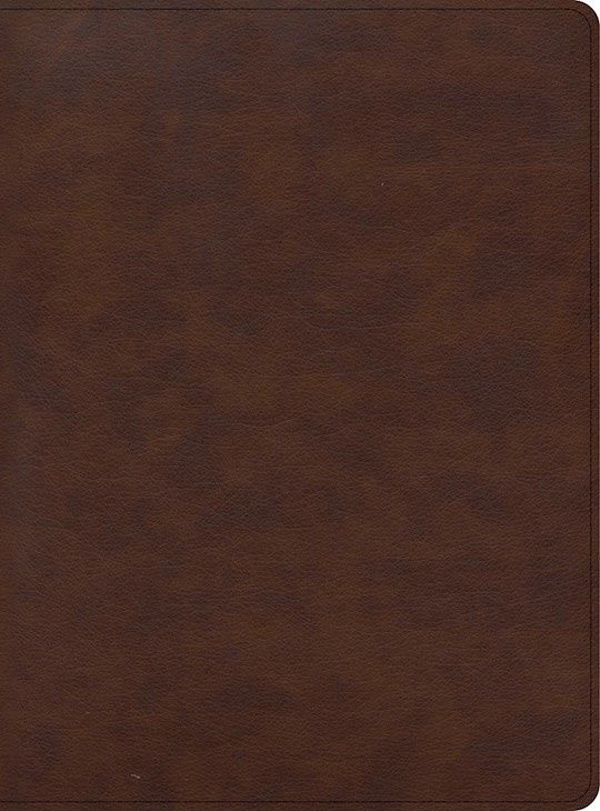 B-CSB- APOLOGETICS STUDY BIBLE FOR STUDENTS, BROWN, LEATHERLOOK