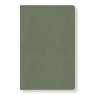 B- CSB- EVERY DAY WITH JESUS DAILY BIBLE- SALE!