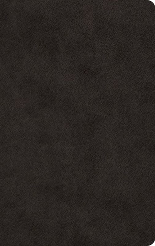 B-ESV- VALUE THINLINE- TRUTONE, BLACK