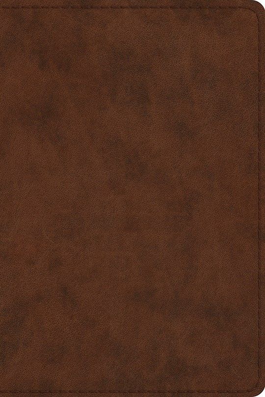 B-ESV- STUDY BIBLE- PERSONAL SIZE- BROWN