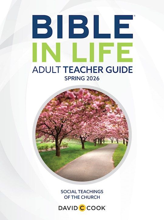 BIBLE-IN-LIFE/REFORMATION PRESS- ADULT COMPREHENSIVE TEACHER'S GUIDE- QUARTERLY CURRICULUM