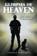 GLIMPSES OF HEAVEN DREAM VISITATIONS FROM THE AFTERLIFE- AND A VISIT TO ETERNITY