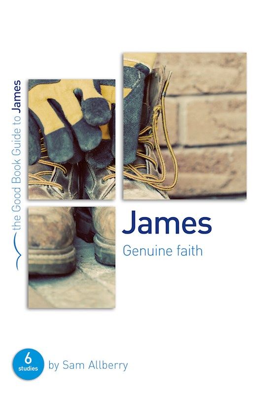BIS- GOOD BOOK GUIDES- JAMES