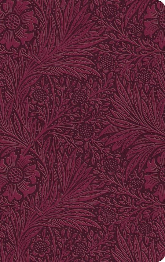 B-ESV- THINLINE VALUE BIBLE, RASPBERRY TRUTONE