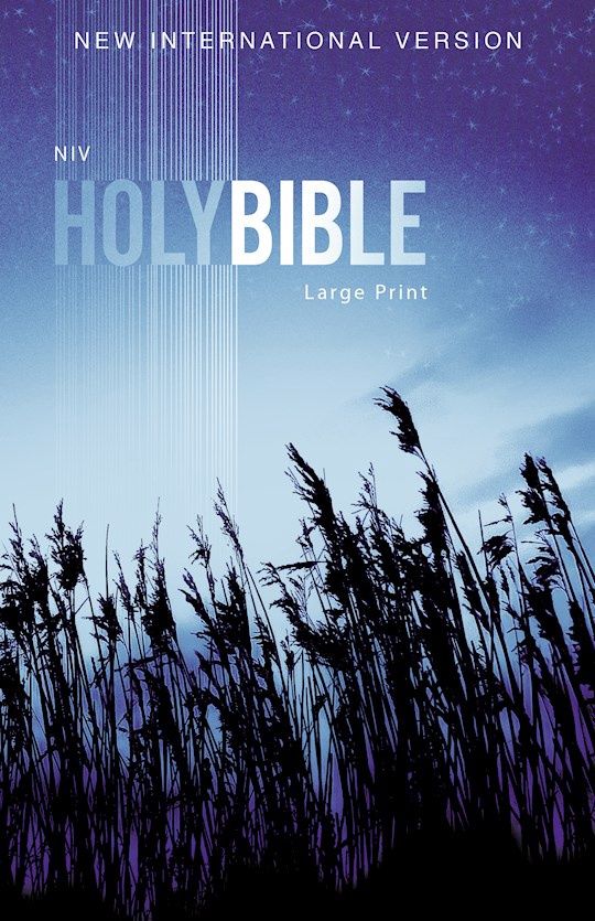 B-NIV- OUTREACH BIBLE, LARGE PRINT, BLUE WHEAT