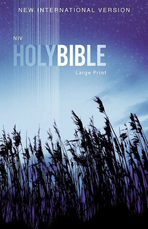 B-NIV- OUTREACH BIBLE, LARGE PRINT, BLUE WHEAT