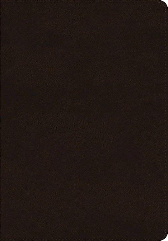 B-ESV- GIANT PRINT BROWN