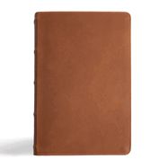 B-CSB- MEN'S DAILY BIBLE, INDEXED, BROWN GENUINE LEATHER