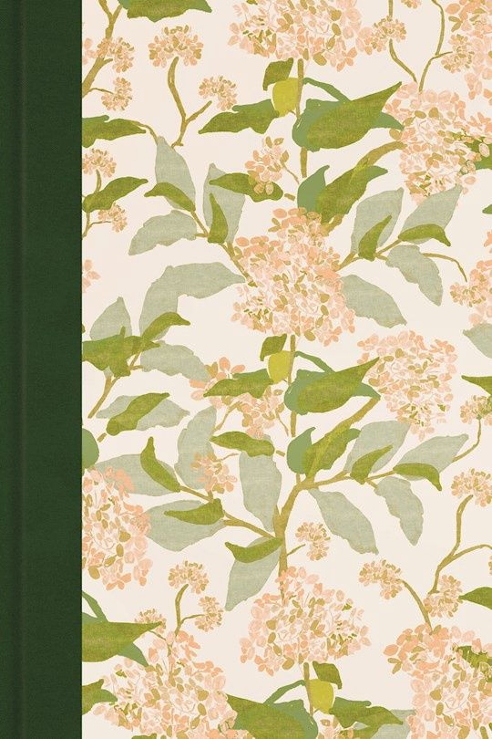 B-ESV- EVERYDAY GOSPEL BIBLE, ARTIST SERIES HARDCOVER