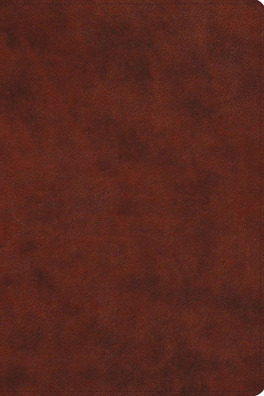 B-ESV- EVERYDAY GOSPEL BIBLE, CHESTNUT TRUTONE