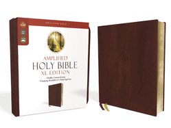B-AMP- AMPLIFIED HOLY BIBLE, XL EDITION, BURGUNDY, LEATHERSOFT