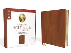B-AMP- AMPLIFIED HOLY BIBLE, XL EDITION, BROWN, LEATHERSOFT