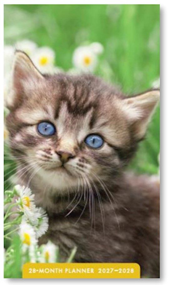 2027- 28-MONTH PLANNER- KITTENS