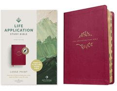 B-NLT- LIFE APPLICATION, LARGE PRINT, BERRY, RL INDEXED