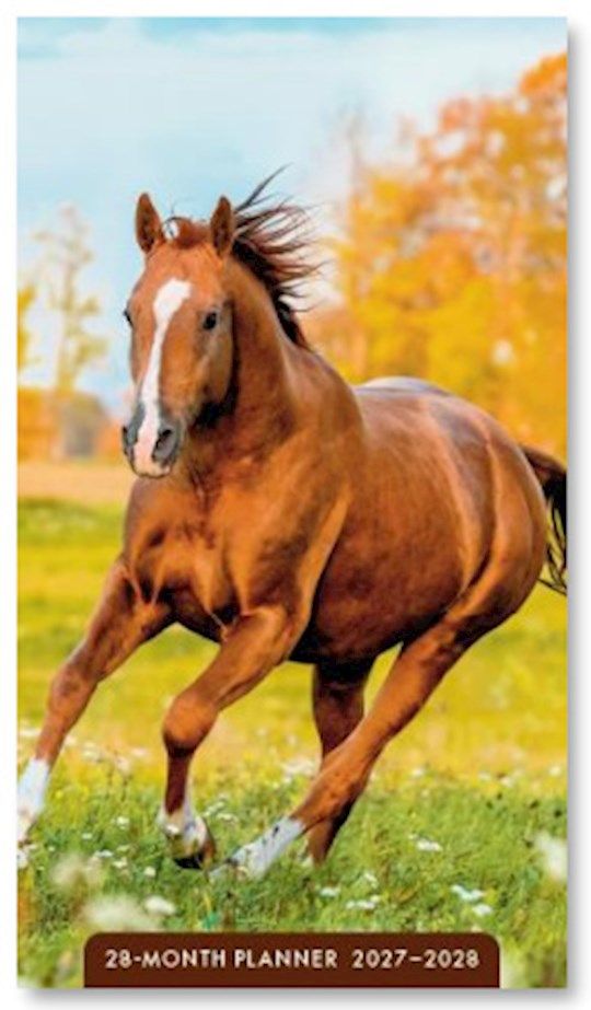 2027- 28-MONTH PLANNER- HORSES