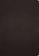 B- ESV STUDY BIBLE BROWN BUFFALO LEATHER
