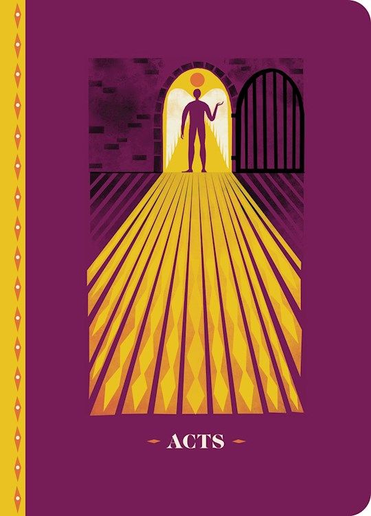B-ESV- BIGGEST STORY SCRIPTURE JOURNAL FOR KIDS: ACTS