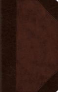 B-ESV- LARGE PRINT COMPACT BIBLE- PORTFOLIO DESIGN, OP