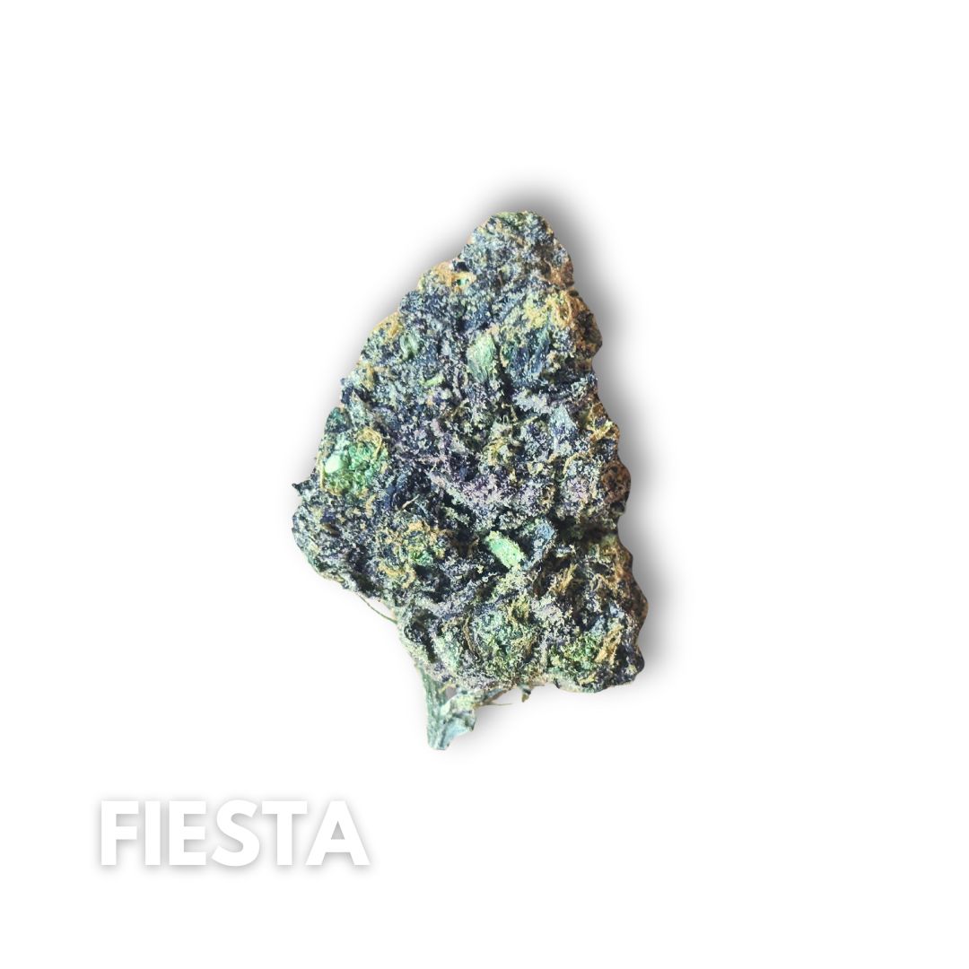 Fiesta #T748 - 3.5g